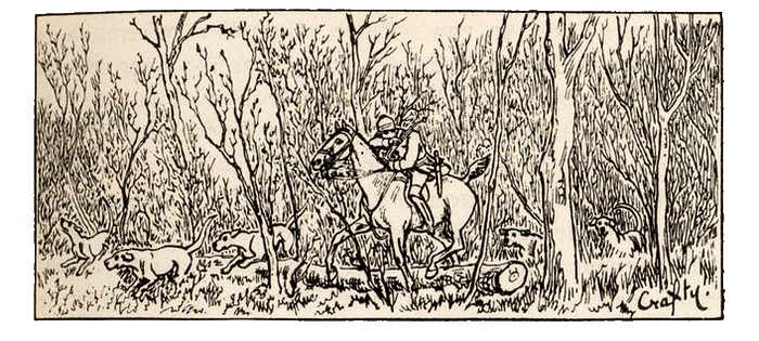 Illustration tirée du Manuel de Vènerie française - Emmanuel Le Couteulx de Canteleu (1890) - Hachette et Cie (Paris) - BnF (Gallica) (13)